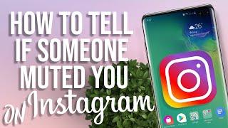 How to find out if someone Muted you on Instagram