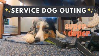 Service Dog Outing at the Library & Updates! Public Access Training | AstroFromTheBlue