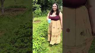 Would you want to be a homesteader?