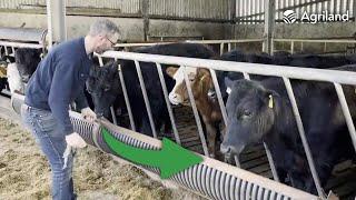 The cattle trough design that went viral on TikTok