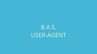 B.A.S. задаём User-agent