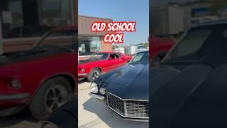 Timeless Muscle, Timeless Attitude 