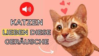 5 Klingt Katzen lieben  geräusche die katzen anlocken