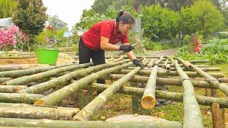 Techniques Formwork Joining - Iron Weaving - Pour concrete floor - Village Life | My Peaceful Life