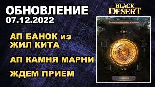  АП КАМНЕЙ МАРНИ, КИТОВЫХ БАНОК и МЕД. ДИСКО  БДО Обновление 07.12 (BDO-Black Desert)