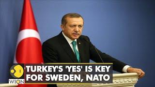 Sweden, Finland delegations hope to woo Turkey over NATO bid | Latest English News | WION