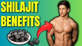 10 Incredible Health Benefits of Shilajit