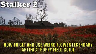 Stalker 2:How To Get And Use Weird Flower Legendary Artifact Poppy Field Guide