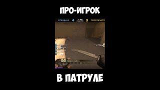 Про-игрок с фейсита в патруле! - CS:GO Патруль #shorts