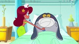 Zig & Sharko  NEW SEASON 3  NURSE COMPILATION  Full Episode in HD