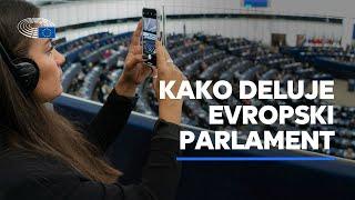 Kako deluje Evropski parlament