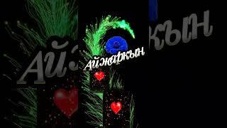 Айжаркын
