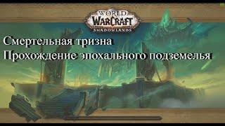 WoW Shadowlands тактика прохождения эпохальных подземелий:  Смертельная тризна