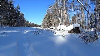 ПРОГУЛКА НА МОТО-ТОЛКАЧЕ В ЗИМНИЙ ЛЕС/23 ФЕВРАЛЯ