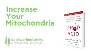 Increase Your Mitochondria, Your Body Will Thank You | The Acid Drop