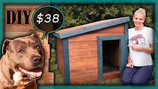 How to Build a Dog Kennel with Pallet WoodDIY Wooden Pallet Dog HouseMaking a Warm Paling DogHouse