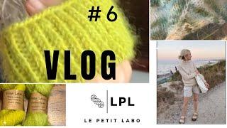 Vlog d’automne 6 : Linus, Ranunculus ou Novice Sweater ? Débat avec moi-même (enfin clos)…