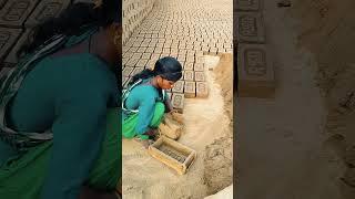 #Nagaland lottery result#trending #video @@