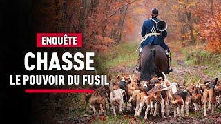 Chasse à courre : un loisir et des pratiques qui font débat | Reportage | KM