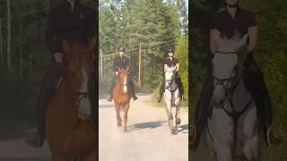 Line Laagasken on trail ride with her best friend #shorts #horse #equestrian