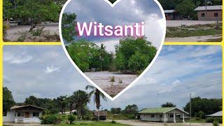 Suriname:Wit-Santi#beautiful people & nature#shorts