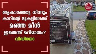 Fish Falls From Sky, Slams Into Car | Viral Video | Keralakaumudi news