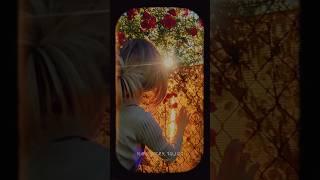 Мой последний ответ