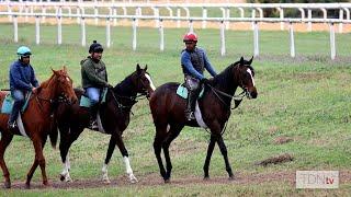 Zenyatta’s Last Foal, Now Training at Mayberry Farm
