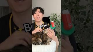 This is what cat asthma looks like