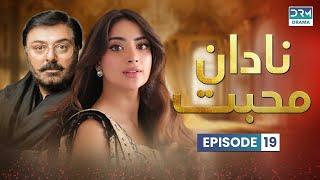 Pakistani Drama | Nadaan Muhabbat- Episode 19 | Aplus | Noman Ijaz, Saboor Ali,Salman Shahid | C7A1O