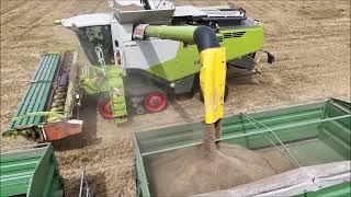 Claas Lexion 8700, 760, 770, 670 Gerste dreschen, Gras dreschen, Stroh häckseln 2024