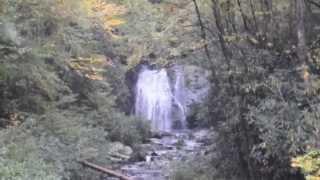 Smoky Mountain Waterfall near Gatlinburg TN in HD