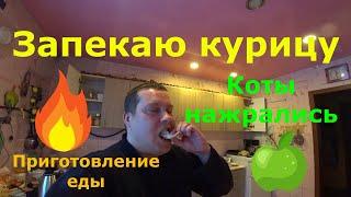 Запекаю курицу / Варю спагетти / Коты нажрались до отвала / Приготовление еды