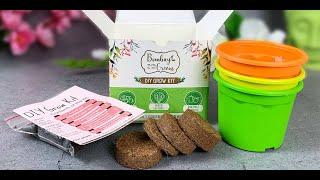 Bombay Greens 3 in 1 Edible Flowers Gardening Kit by Bombay Greens | #unboxing #youtube #bombaygreen