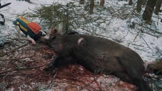 Driven hunting in Czech republic