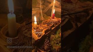 Wiccan honouring altar #wicca #altar #ritual #witchcraft #woodworkingart