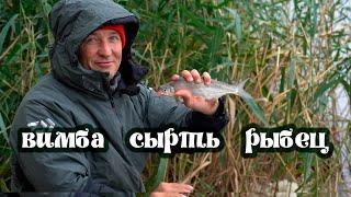 Вимба, сырть, рыбец. Ловим на фидер!