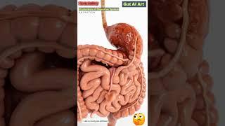 Digestive System Animation | Gut AI Art | 54