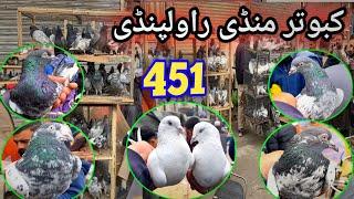 451) Kabootar Mandi Rawalpindi | Latest Update | High Flyer Pigeon Market Price Today 1/3/2025