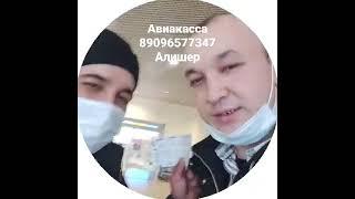 АВИАКАССА ХИЗМАТИ 8.909.657.7347. АЛИШЕР