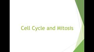 Grade 10 - The Cell Cycle and Mitosis