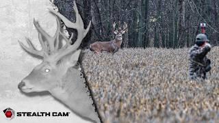 Hunting a 200" Whitetail in Illinois: Brandon's Toughest Season Yet | Dream Season Live