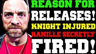 WWE News! Reason For RELEASES! Shawn Michaels SHOVED! LA KNIGHT Injured! AEW SECRETLY FIRED KAMILLE!