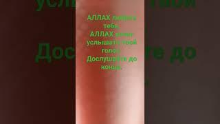 АЛЛАХ любить тебя. #ислам #дуа #вера #мольба #сура #религия #АЛЛАХ #хадис #коран