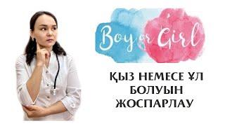 Ұл немесе қыз жынысын жоспарлау?! Овуляция арқылы есептеу