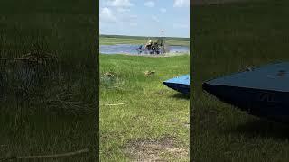 #ycfairboats #airboats #boats #boating #new #newshorts #newvideo #fypシ゚viral #fyp #florida #reels
