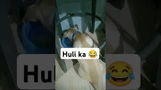 Huli ka