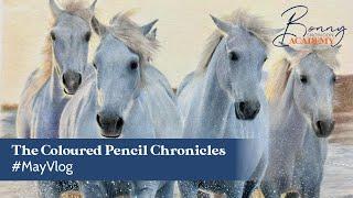 The Coloured Pencil Chronicles | Chapter 17 | May Vlog