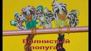 ВОЛНИСТЫЙ ПОПУГАЙ из резинок rainbow loom bands