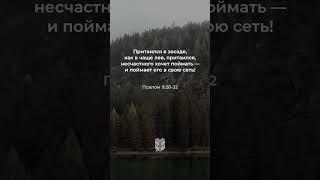 Псалом 9:28-32 в современном переводе #библия #biblevision